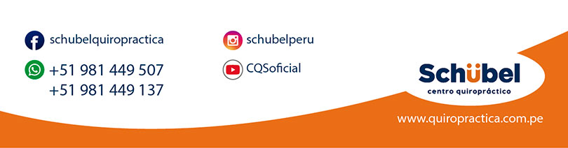 Schubel Centro Quiropractico - Boletin Julio